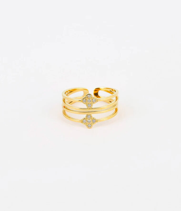 Bague lise produit