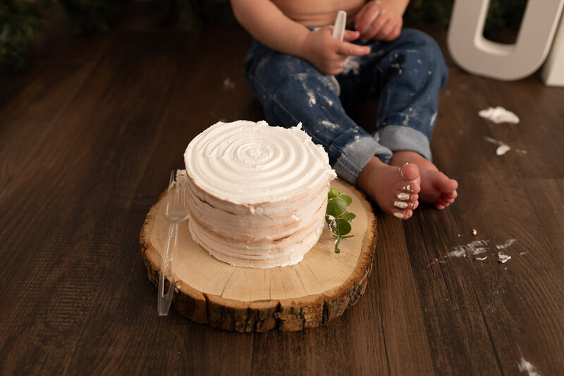 tricities wa cake smash milestone baby photographer-2025-3