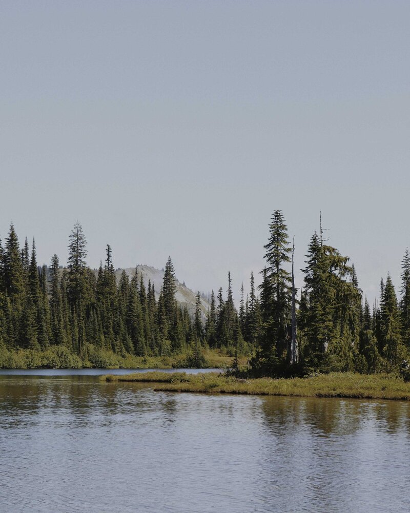 Mount Rainier