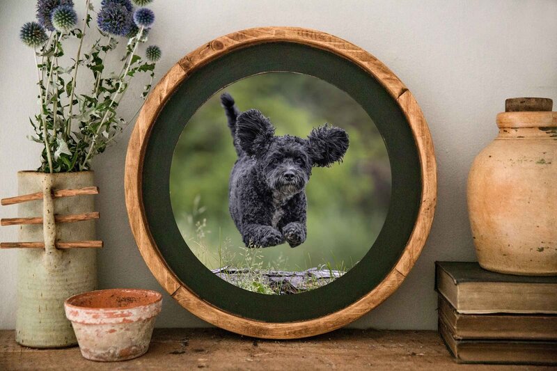 wall art of a small black dog jumping over a log