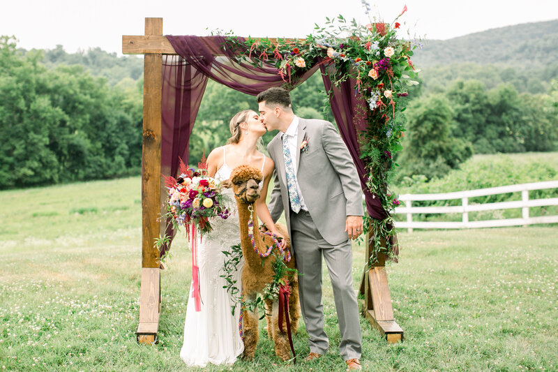 Briarpatch styled shoot-Untitled Export-0114