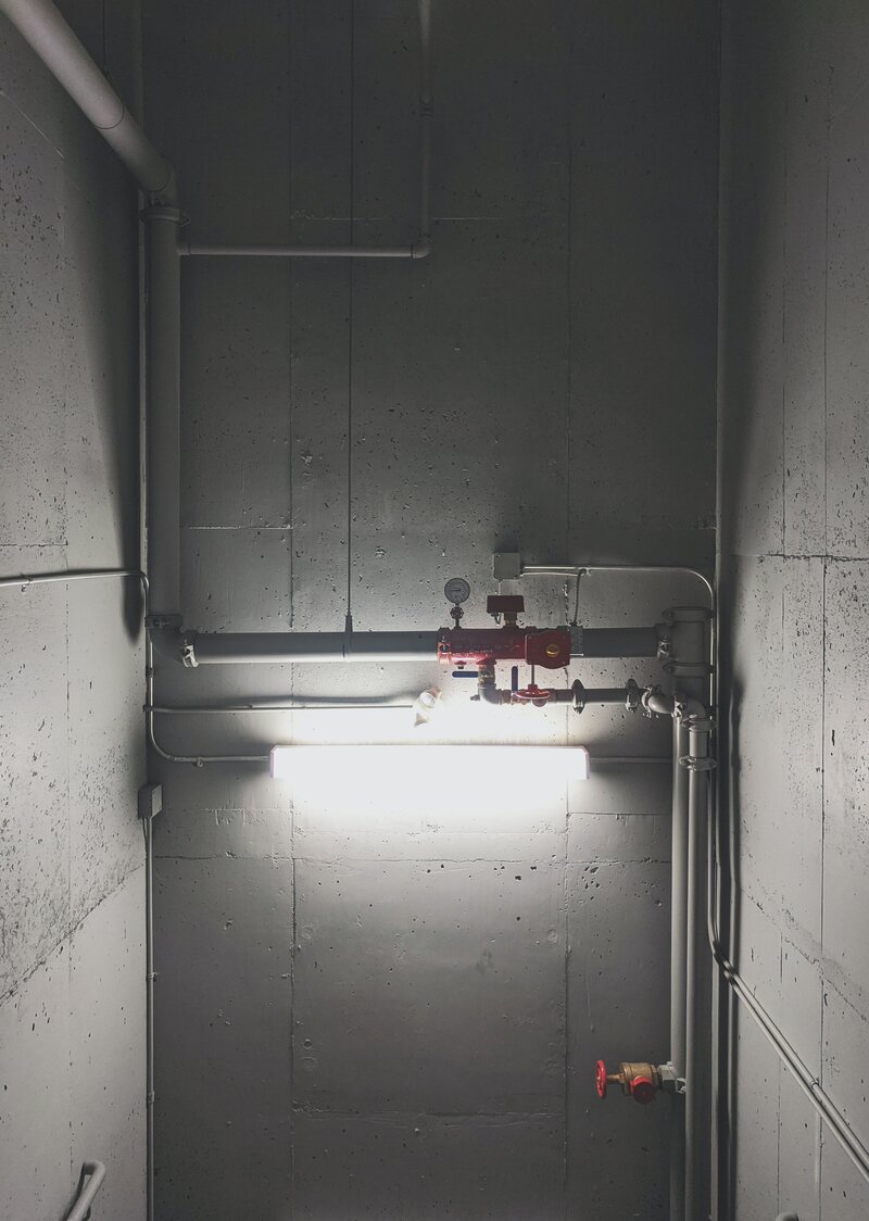 sigmund-FqaVqRQsgEg-unsplash