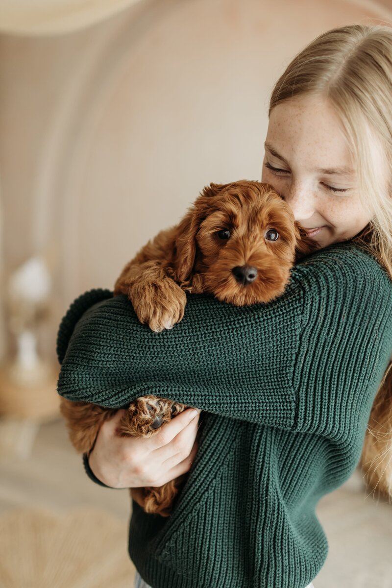 Red Australian Labradoodle Breeder British Columbia