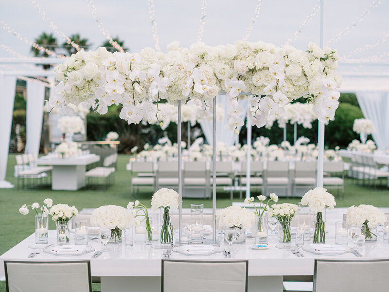 ericastreelman_jenesa and avi-434