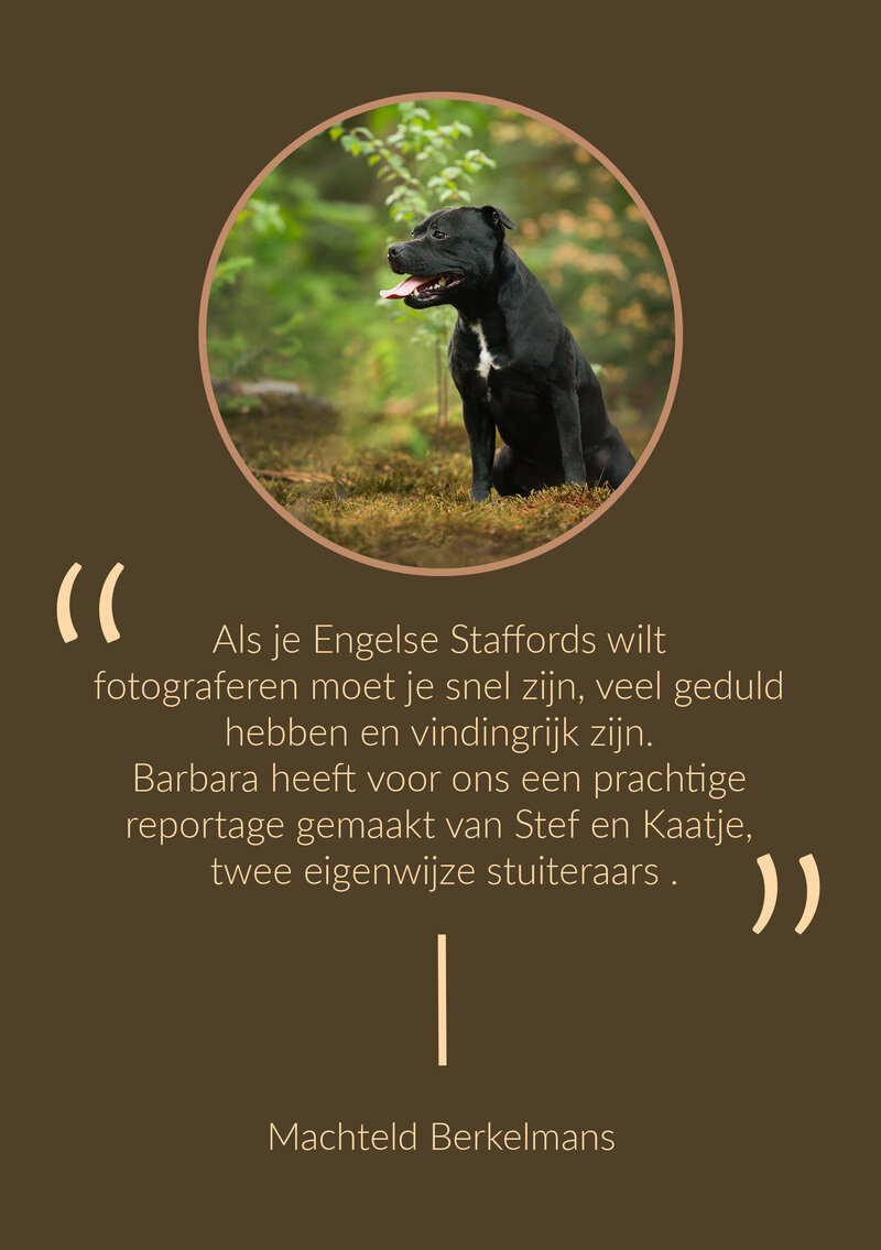 Review MACHTELD