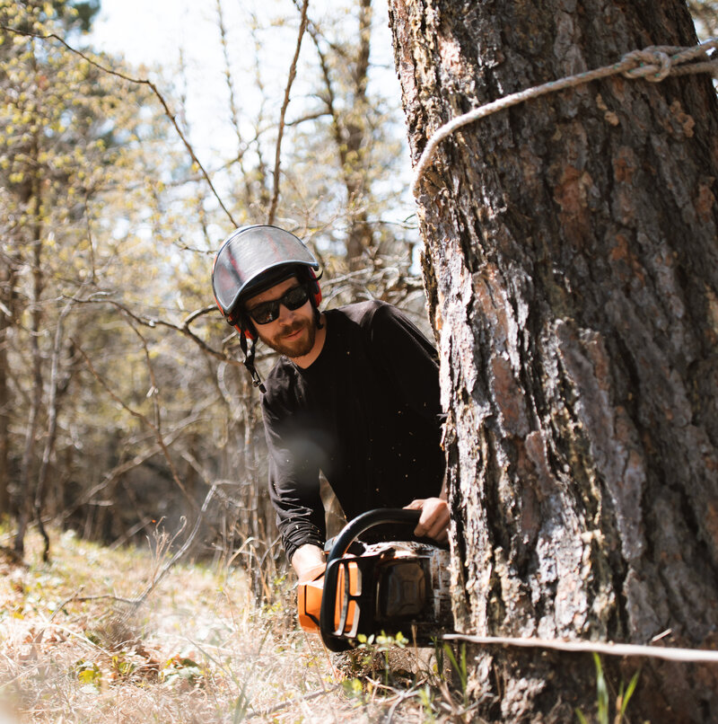 Affordable residential tree removal service by Tree Wise Men in Black Hills, South Dakota, handling tree removal, stump grinding, and debris cleanup.
