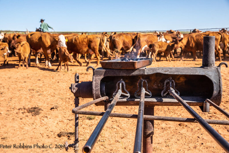 Branding iron at Bell Ranch in New Mexico