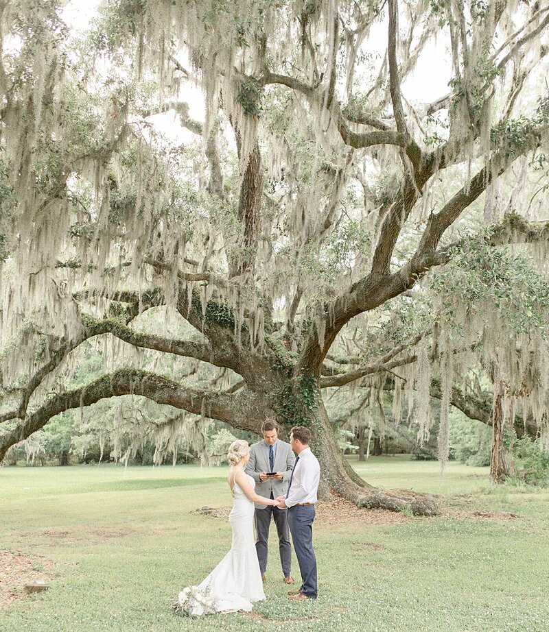 Magnolia-plantation-and-gardens-Charleston-SC-south-carolina-wedding-15
