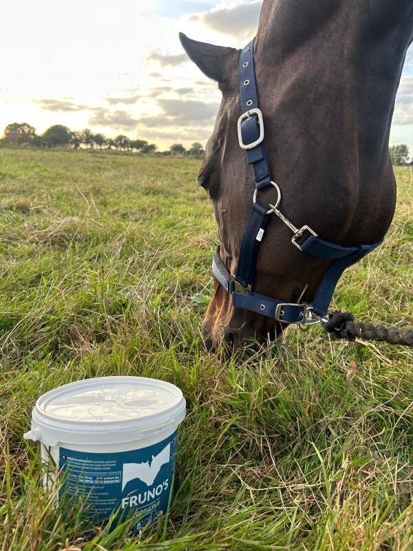 Ondersteunend supplement bij maagzweren of mestwater paard.