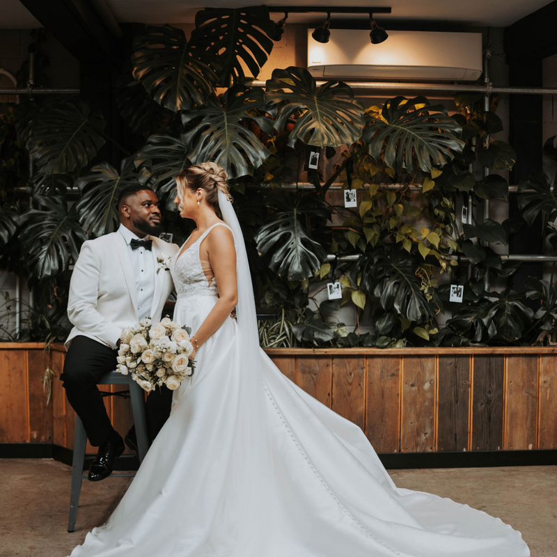 Plant wall in the Lean-To