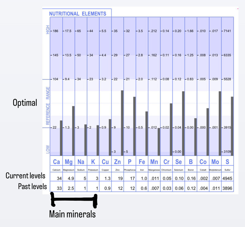 A graph illustrating the average mineral content of a sample, displaying various mineral levels in a clear format.