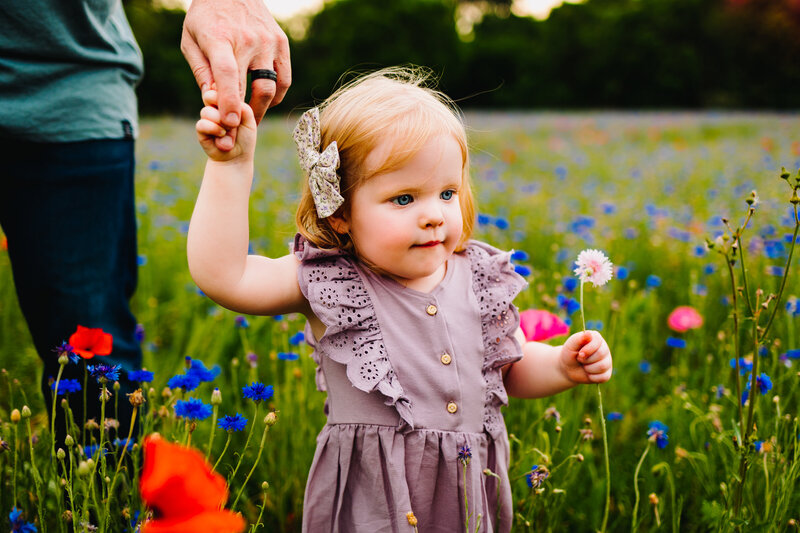 The young girl in the photograph is holding her father's hand in a green garden with small red and pink flowers. She's wearing a purple dress with lace on the chest, and in her right hand, she's holding a white flower