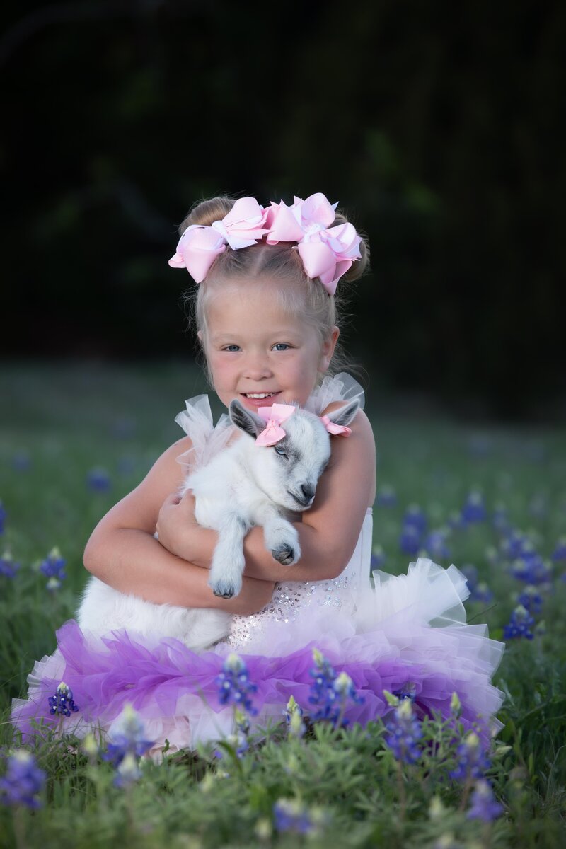 girl-with-two-high-buns-and-bows-holding-baby-goat-in-purple-ombre-dress-in-bluebonnets-in-mansfield-tx