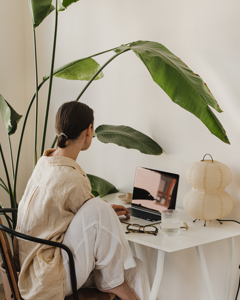 Woman sitting at a minimalist white desk with a laptop, journal, and tall green plant in the background