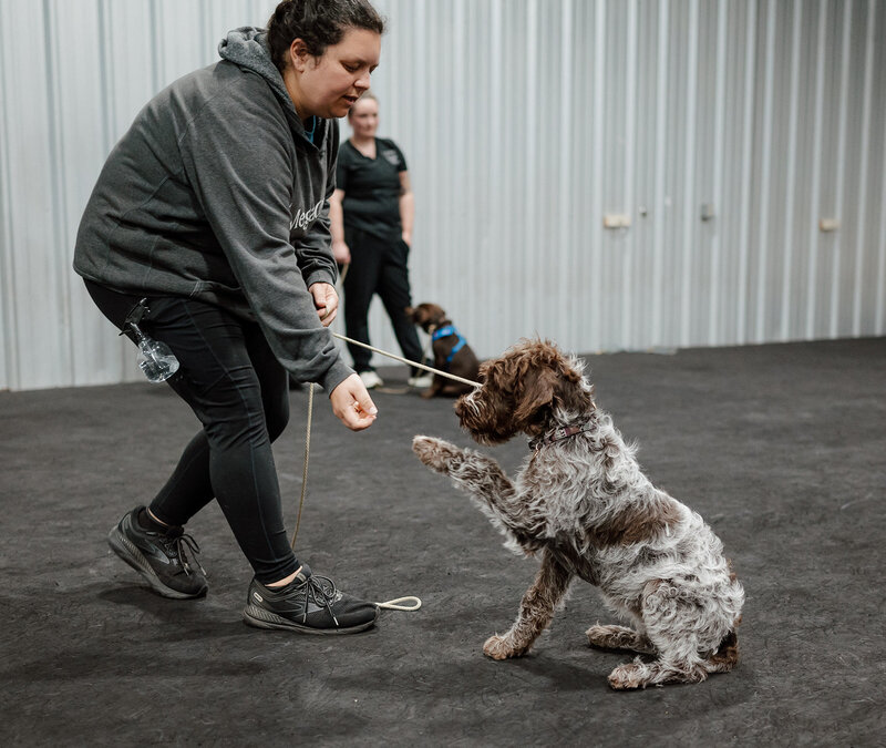 10085983408.jpg_exif1