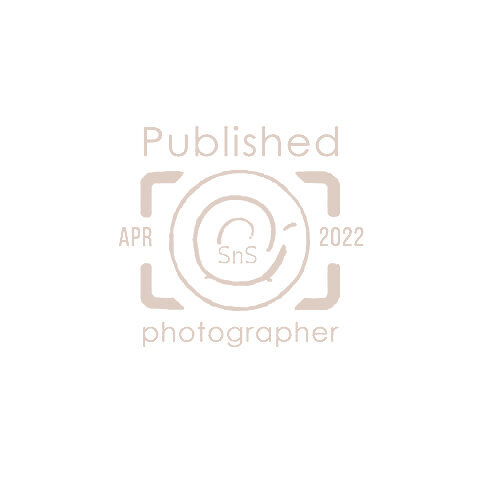 omaha newborn photographer00010