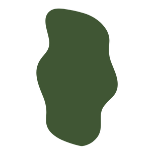 life coaches near me