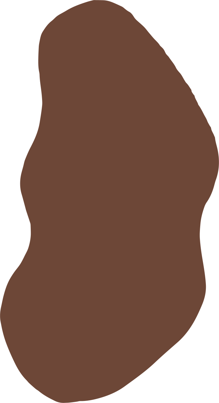 spiritual life coaches