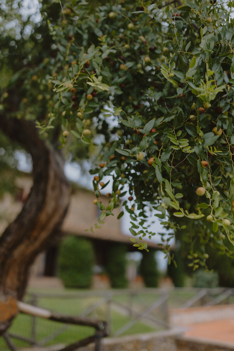 An exquisite view of the Italian countryside, where timeless beauty and elegant scenery set the stage for a fine art destination wedding.
