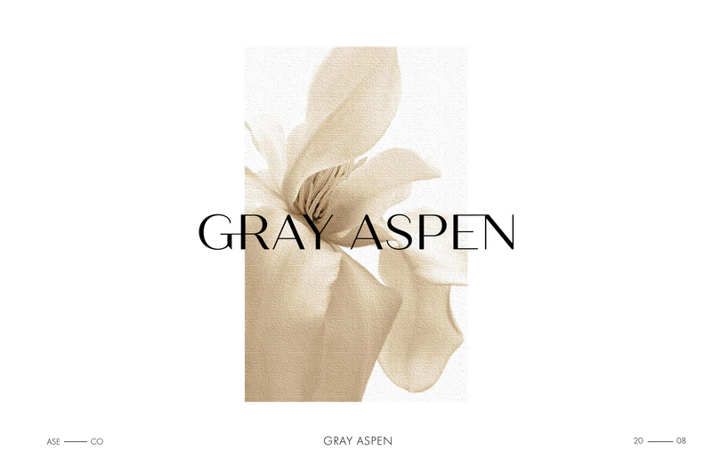 GrayAspen-Brand-Identity-(1)
