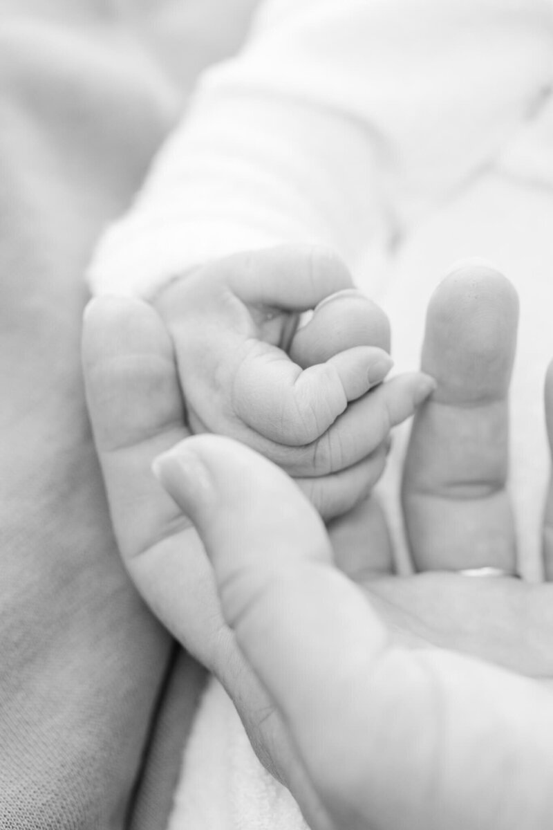 Rockhampton-Newborn-Photographer-116