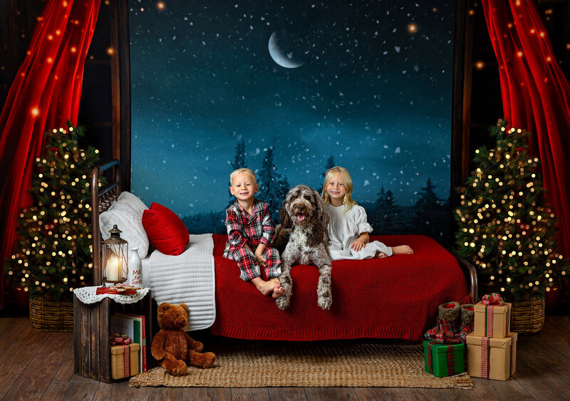 Elevate your holiday spirit with Canton, Ohio Christmas portraits