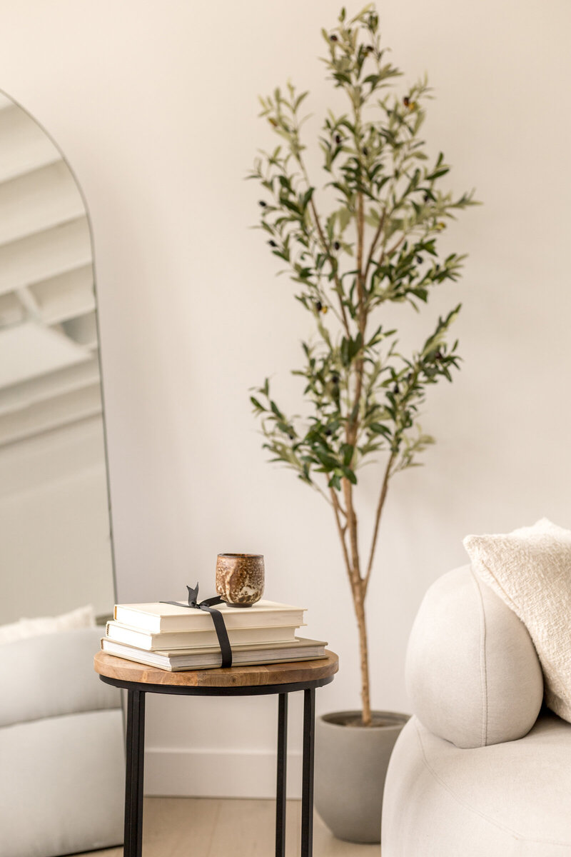 Modern Home Interior