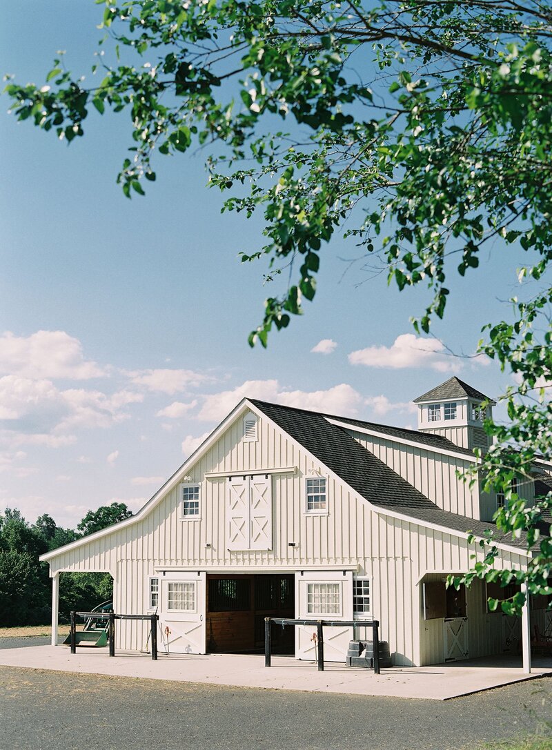 middleburg-virginia-equestrian-horse-engagement-session-david-abel-001