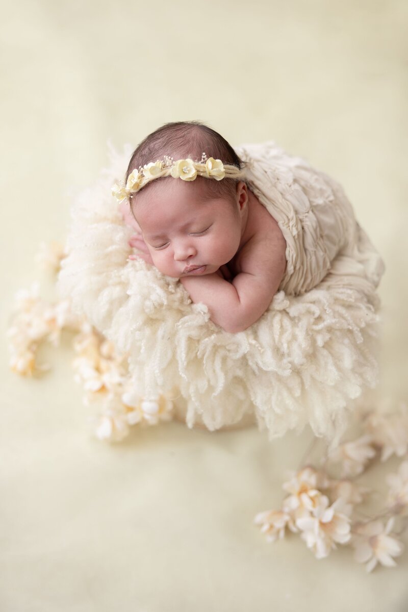 newborn fotoshoot rotterdam