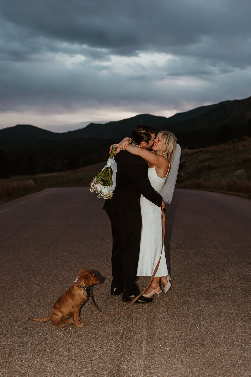 Couple eloping with mountains in the background and a golden retriever puppy at Cheyenne Mountain State Park