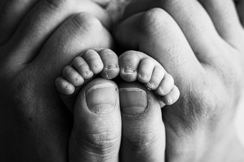 Newborn baby toes captured by Melbourne photographer Natalie Hughes