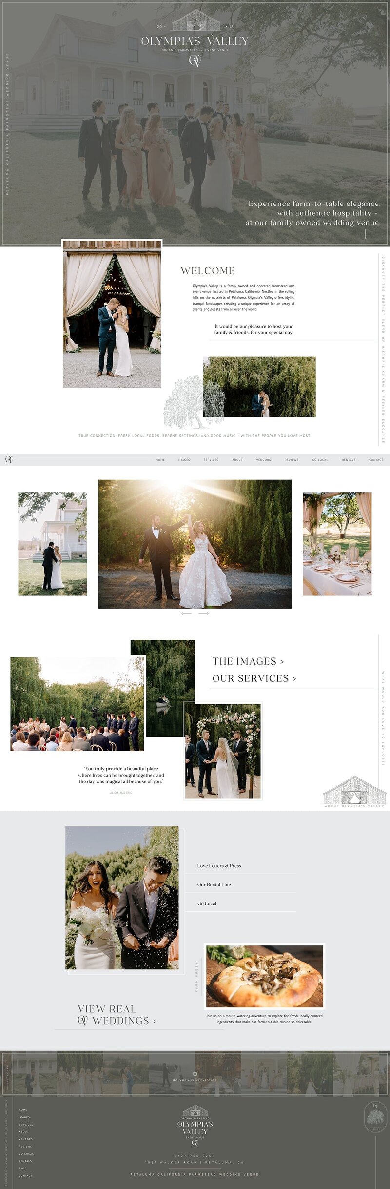 branding and website design agency portfolio