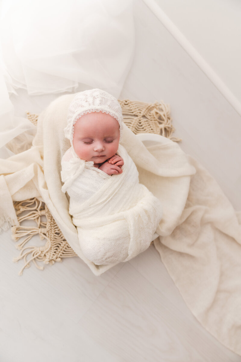 Minneapolis Newborn Photographer, Fig and Olive Photography