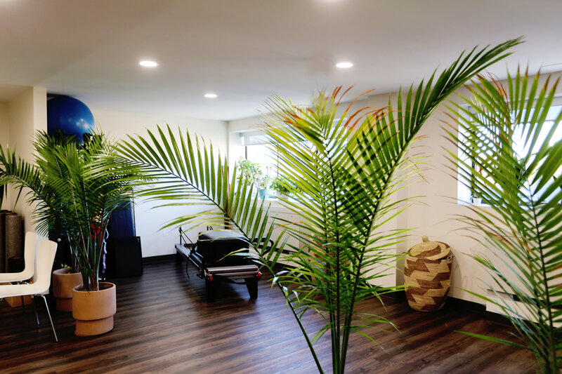 Spacious studio with hardwood floors and greenery at The Hive in Bethesda
