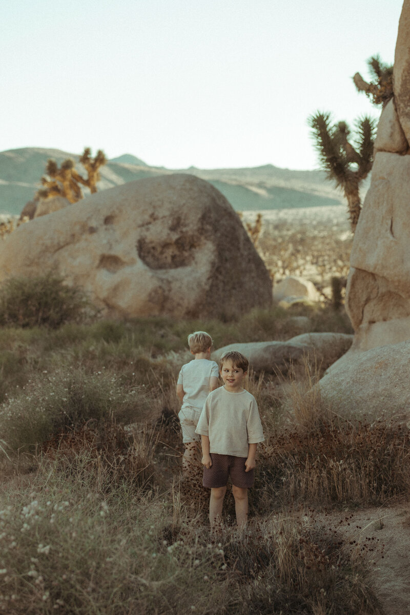 JOSHUATREE-2023-3