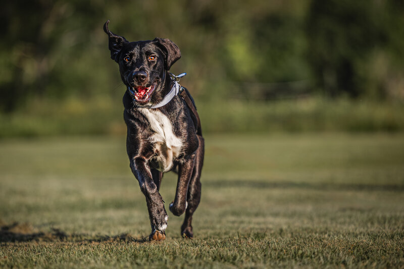 0T7A9933-Edit
