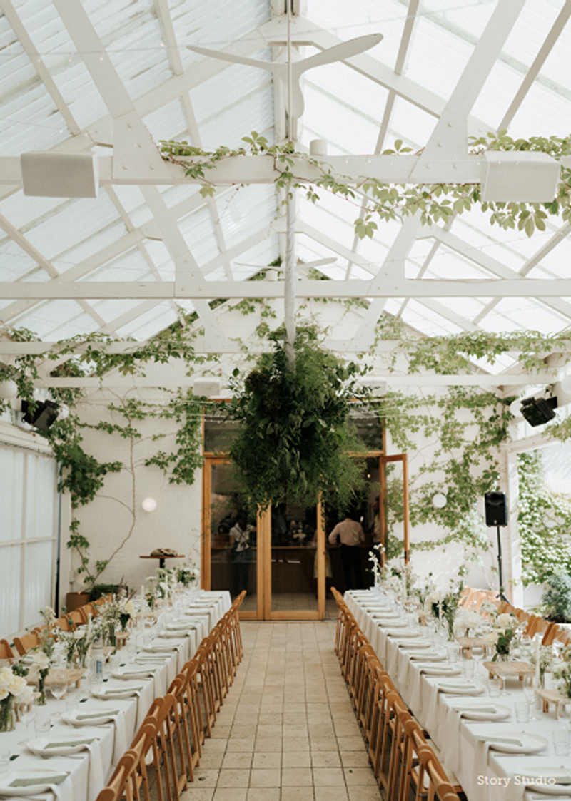 Wedding reception tables with brown chairs and vines hanging from the white timber ceiling