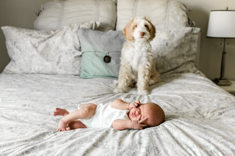 Baby lying on a bed next to a dog