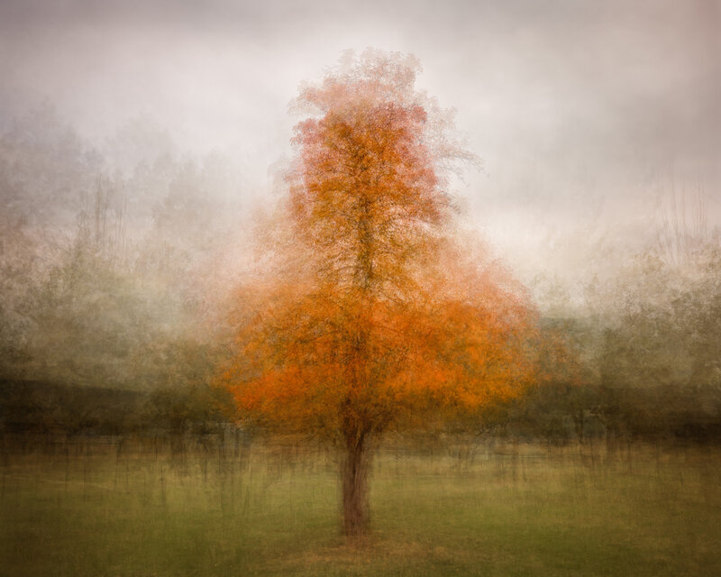 MultipleExposure_Baird-S-1-of-1