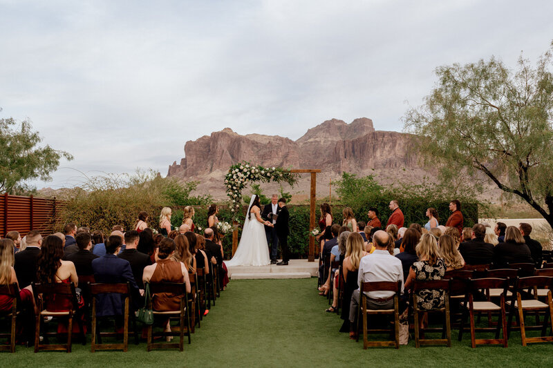 Two brides holding hands while standing at the entrance to a garden.