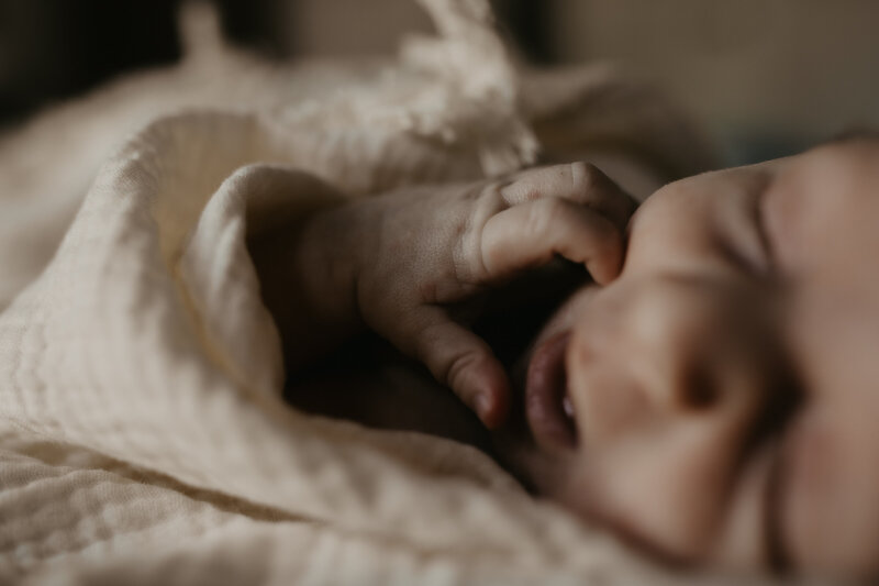 rex newborn19