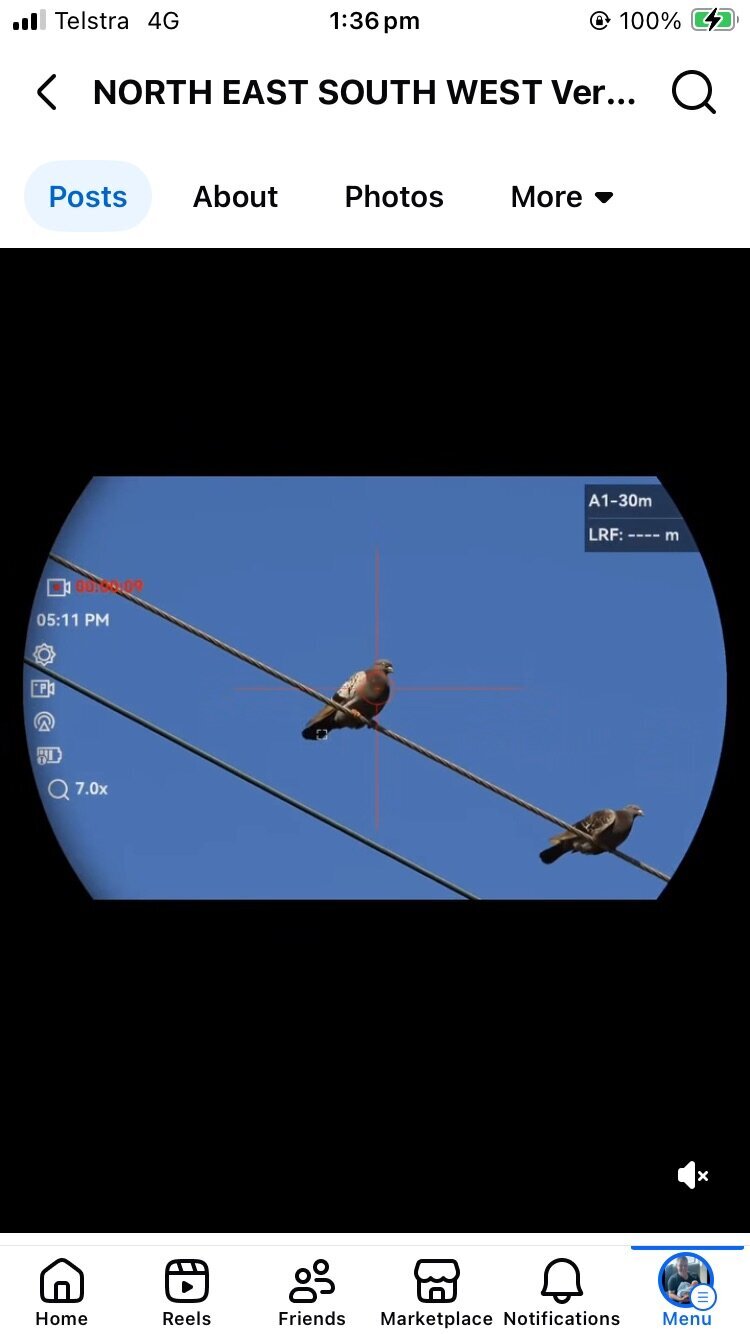 Licensed pest-animal shooting in Warrnambool – South West Victoria