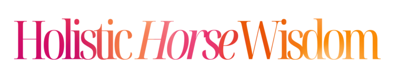 holistic horse wisdom logo - pink orange gradient