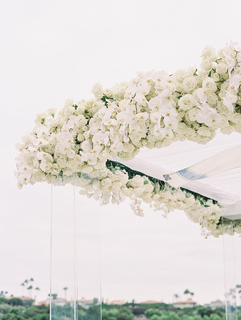 ericastreelman_jenesa and avi-193