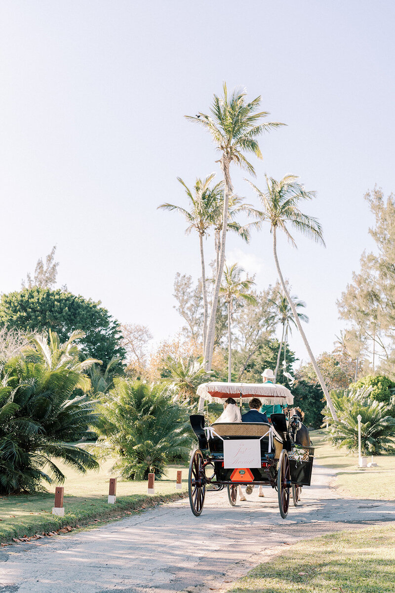 Bermuda Wedding Bermuda Bride Horse Carriage Lovely Wedding