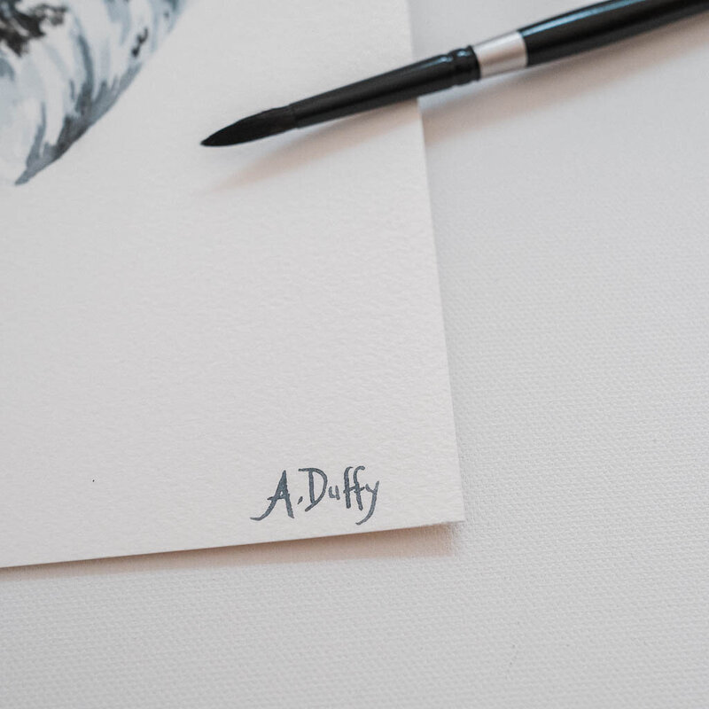 Signature of watercolor artist Amy Duffy