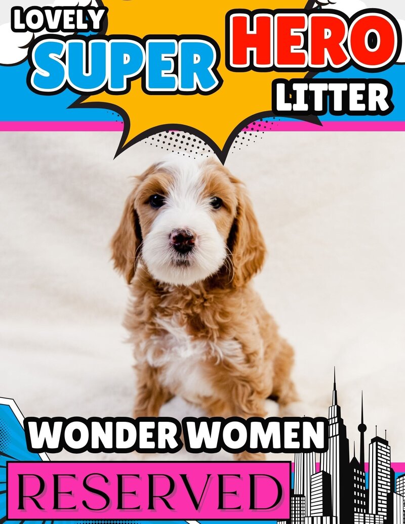 Hero - Hot Pink Wonder Women Female