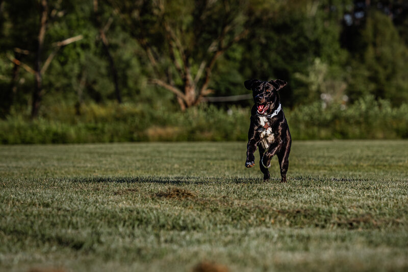 0T7A9903-Edit