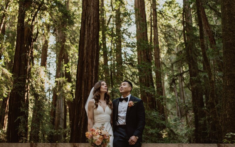 A bride and groom admire the trees above them in the redwood forest grove of Armstrong Redwoods State Natural Reserve during their intimate redwood wedding day