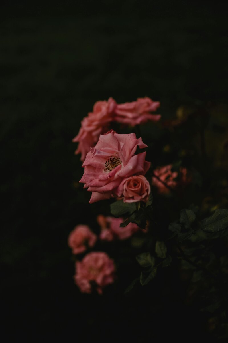 pexels-eva-bronzini-5759234